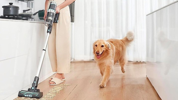 Unveiling the Top 10 Vacuum Cleaners of the Year